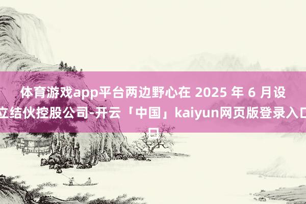 体育游戏app平台两边野心在 2025 年 6 月设立结伙控股公司-开云「中国」kaiyun网页版登录入口