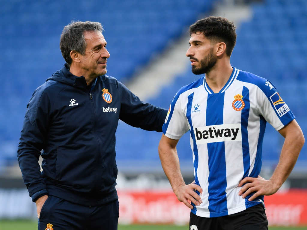 顶能力上的 顶能力上的